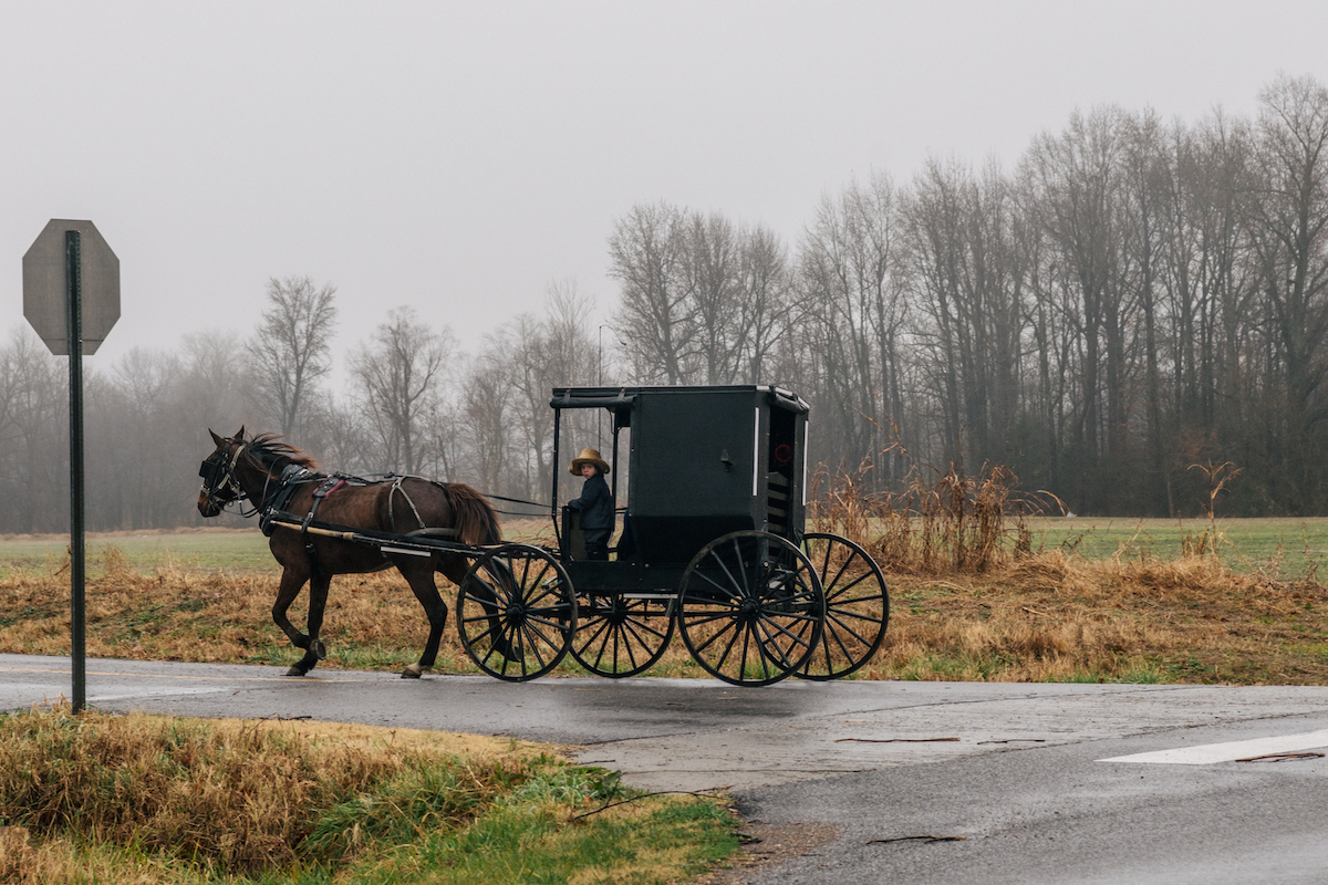 An Amish family traveling by horse-drawn carriage