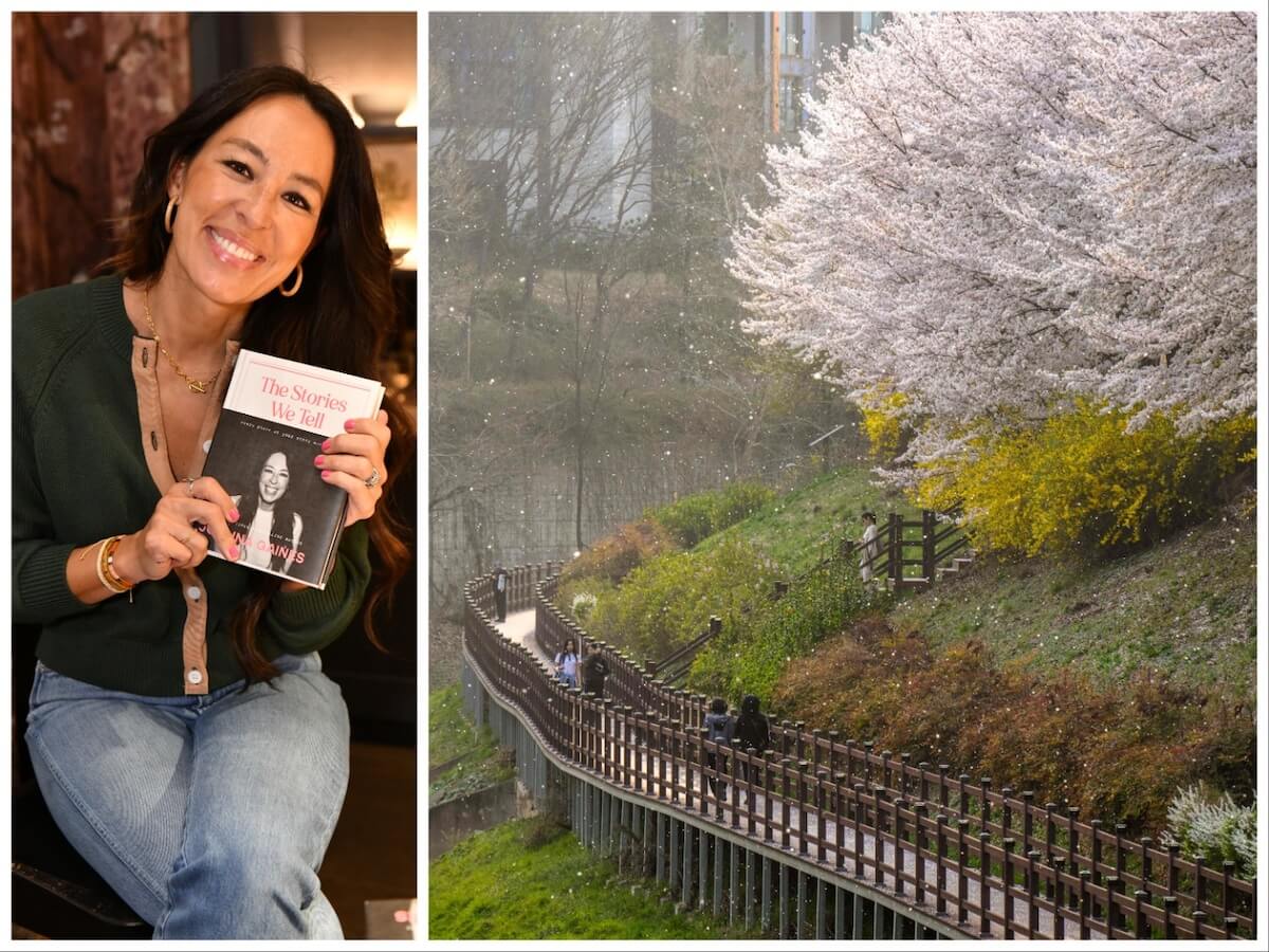 Side by side photos of Joanna Gaines holding her book, 'The Stories We Tell,' next to an image of the cherry blossoms in Seoul, South Korea