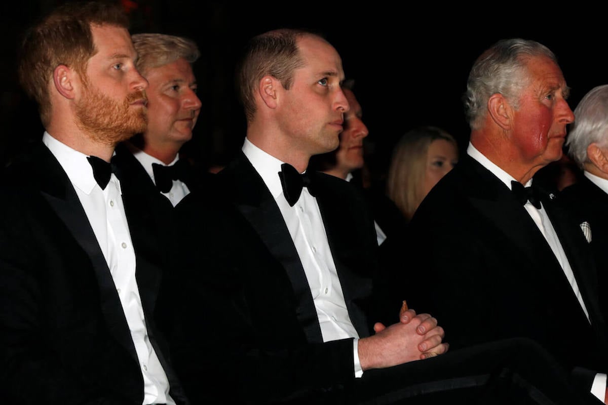Prince Harry and Prince William, whose 'level of belligerence' has 'shocked' their father, sit with King Charles III