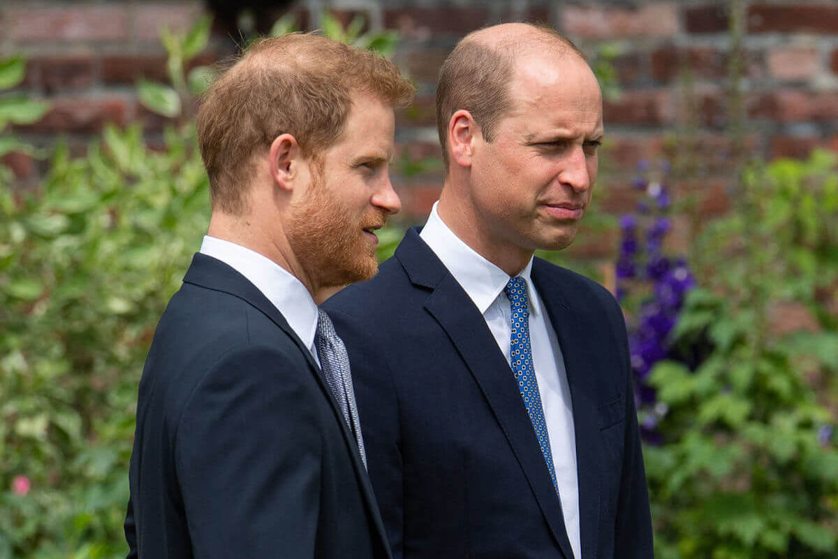 Prince William, who addressed 'work-shy' criticism along with his brother, stands with Prince Harry