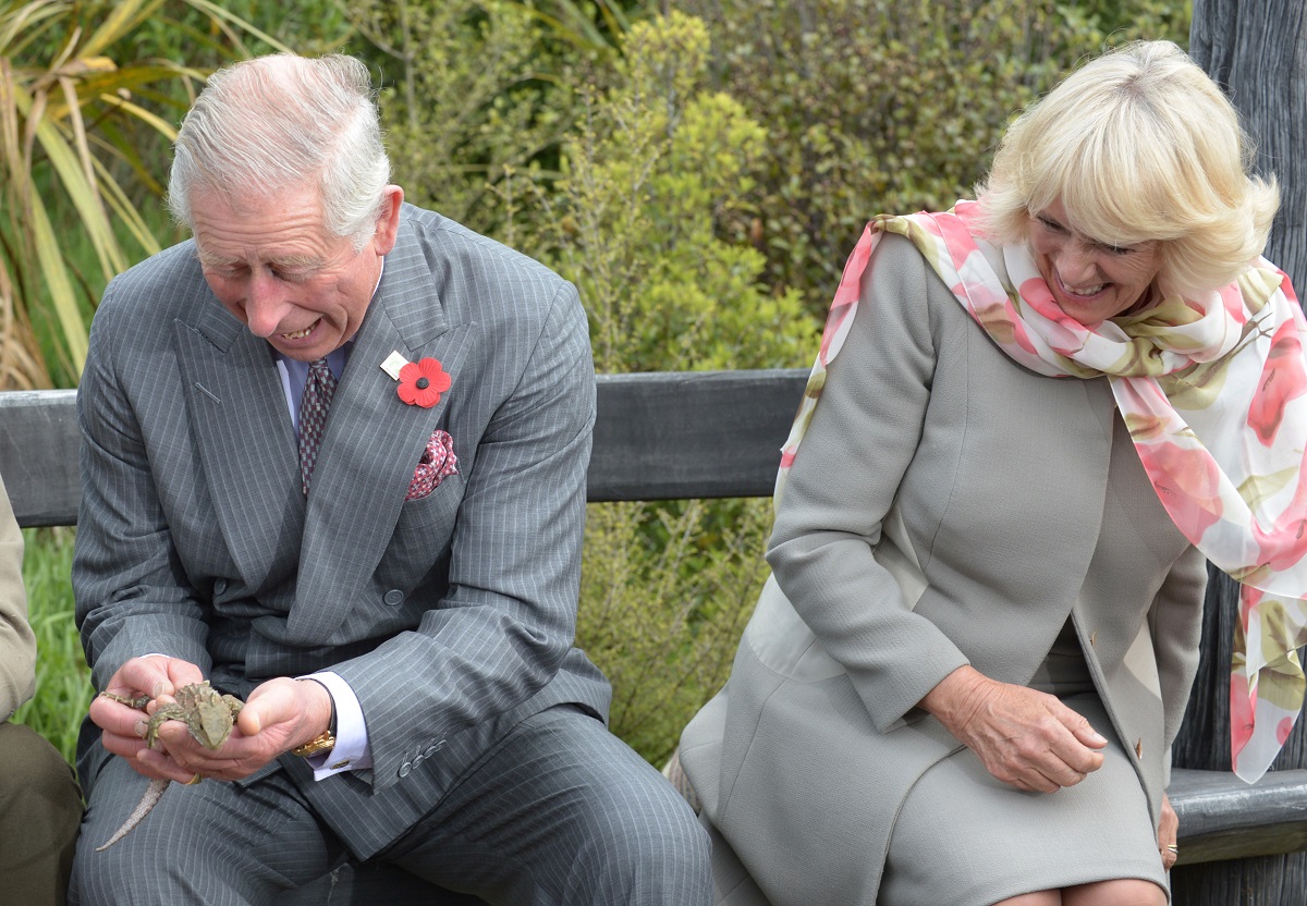 Then-Prince Charles reacts as a bee flies inside his jacket as he handles a tuatara at the Orokonui Ecosanctuary in New Zealand