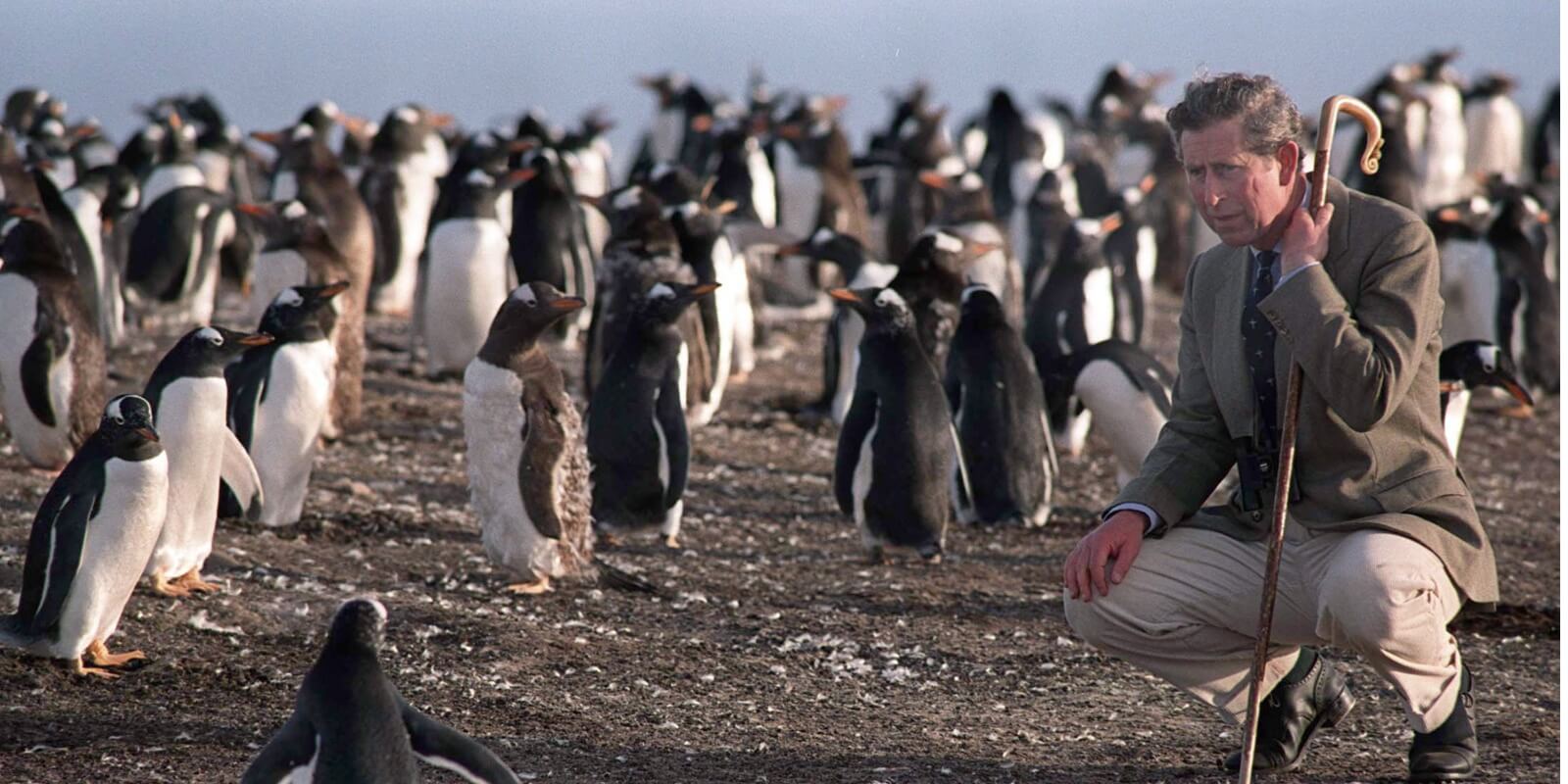 King Charles passion for the environment is on display in a visit to Sea Lion Island in the Falkland's in 1999.
