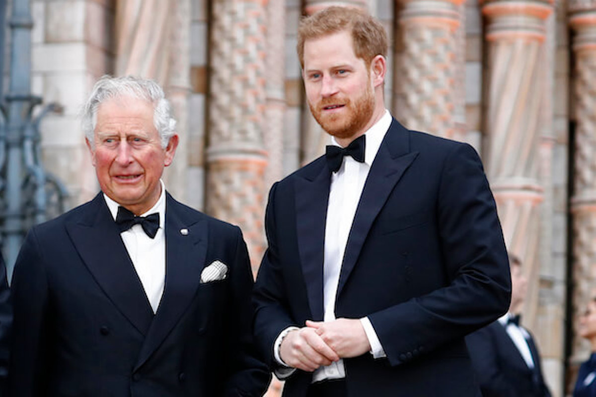King Charles, who could solve Prince Harry's U.K. police security issue but won't, according to an expert, stands with Prince Harry