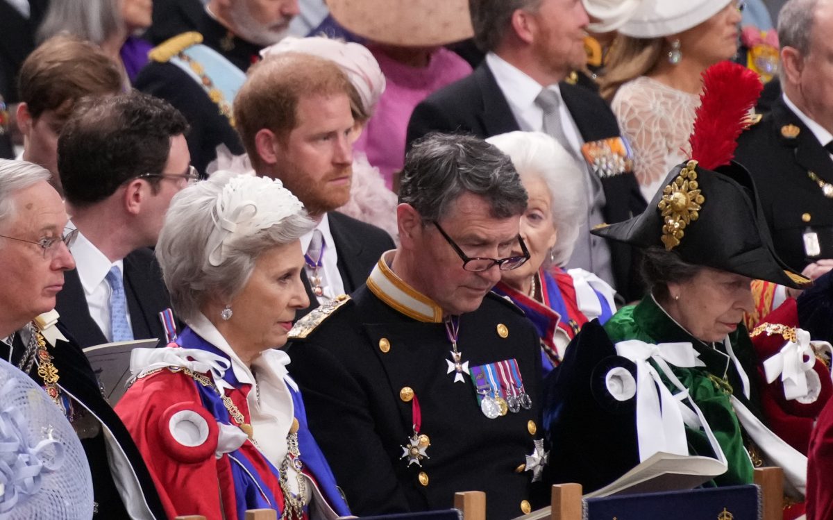 Prince Harry, who Princess Anne blocked with her plume, as well as other members of the royal family at the coronation of King Charles III and Queen Camilla