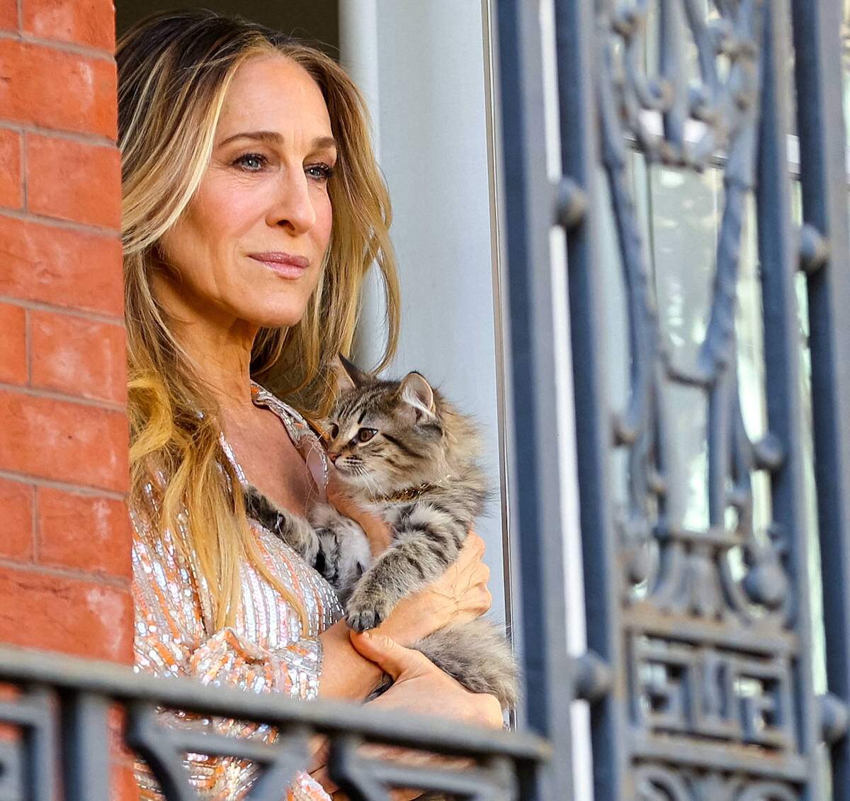 Sarah Jessica Parker holds a kitten and films a scene of the 'And Just Like That'