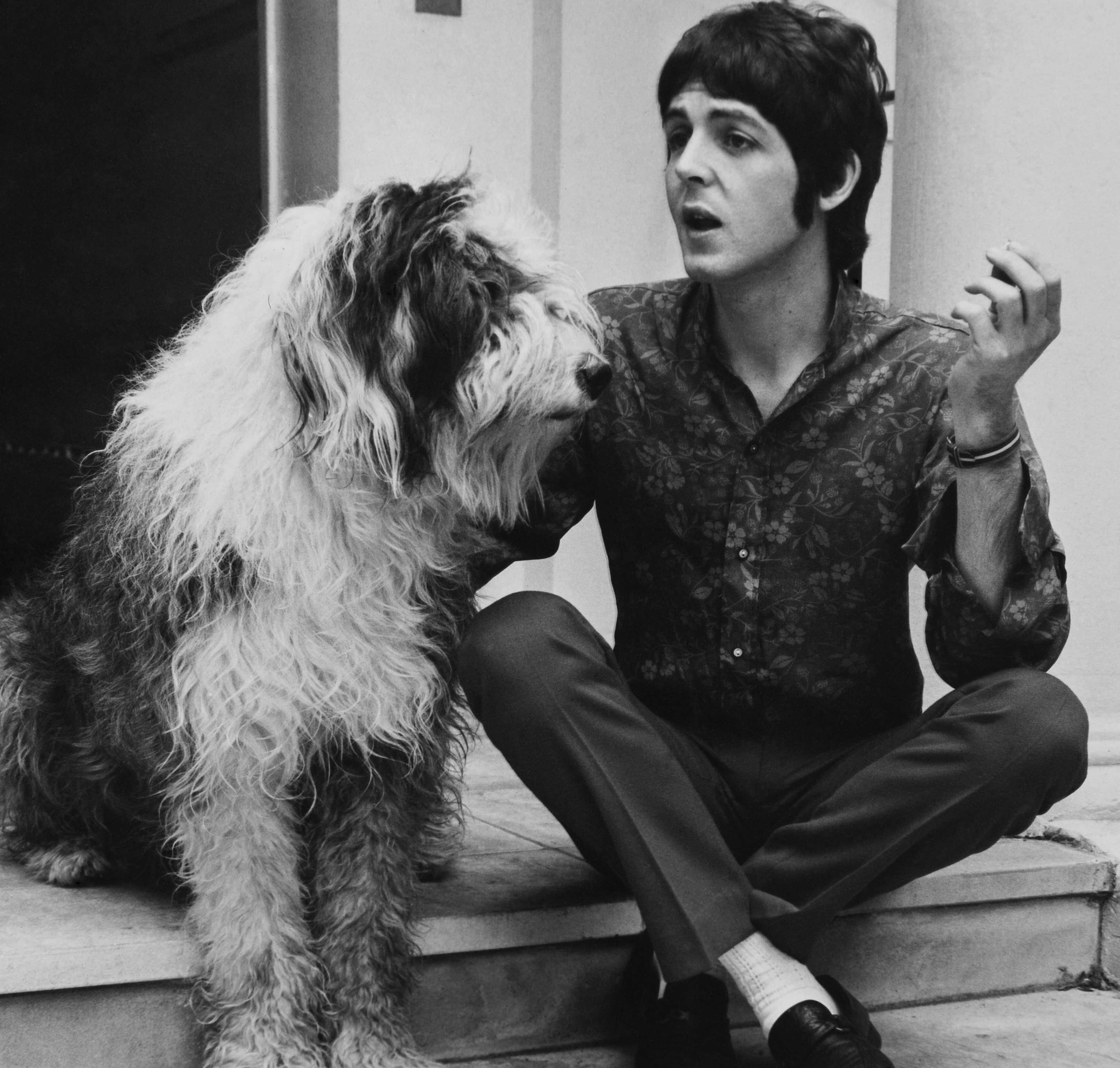 Paul McCartney with a dog