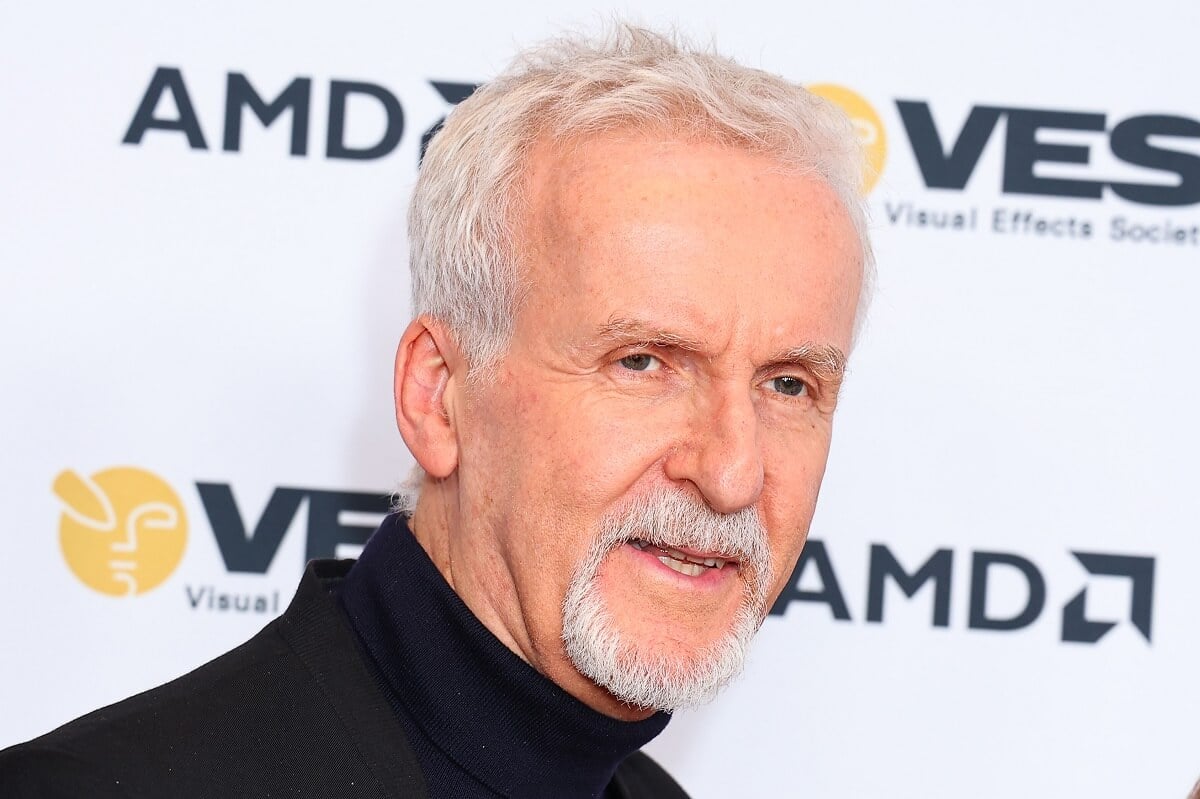 James Cameron posing in a turtle neck at the 21st Annual VES Awards.