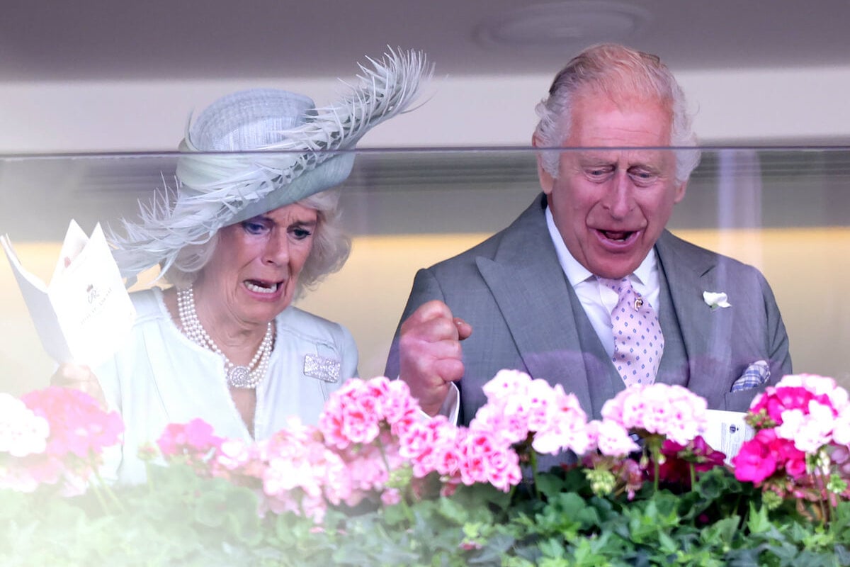King Charles III and Queen Camilla cheer on horse Desert Hero before 2023 Royal Ascot win
