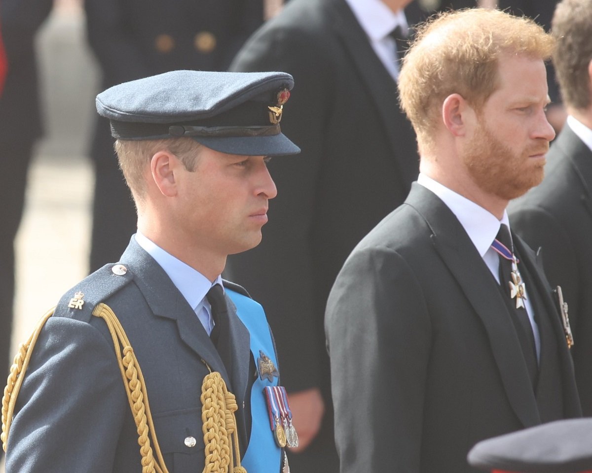 Prince William and Prince Harry walk behind Queen Elizabeth's funeral cortege