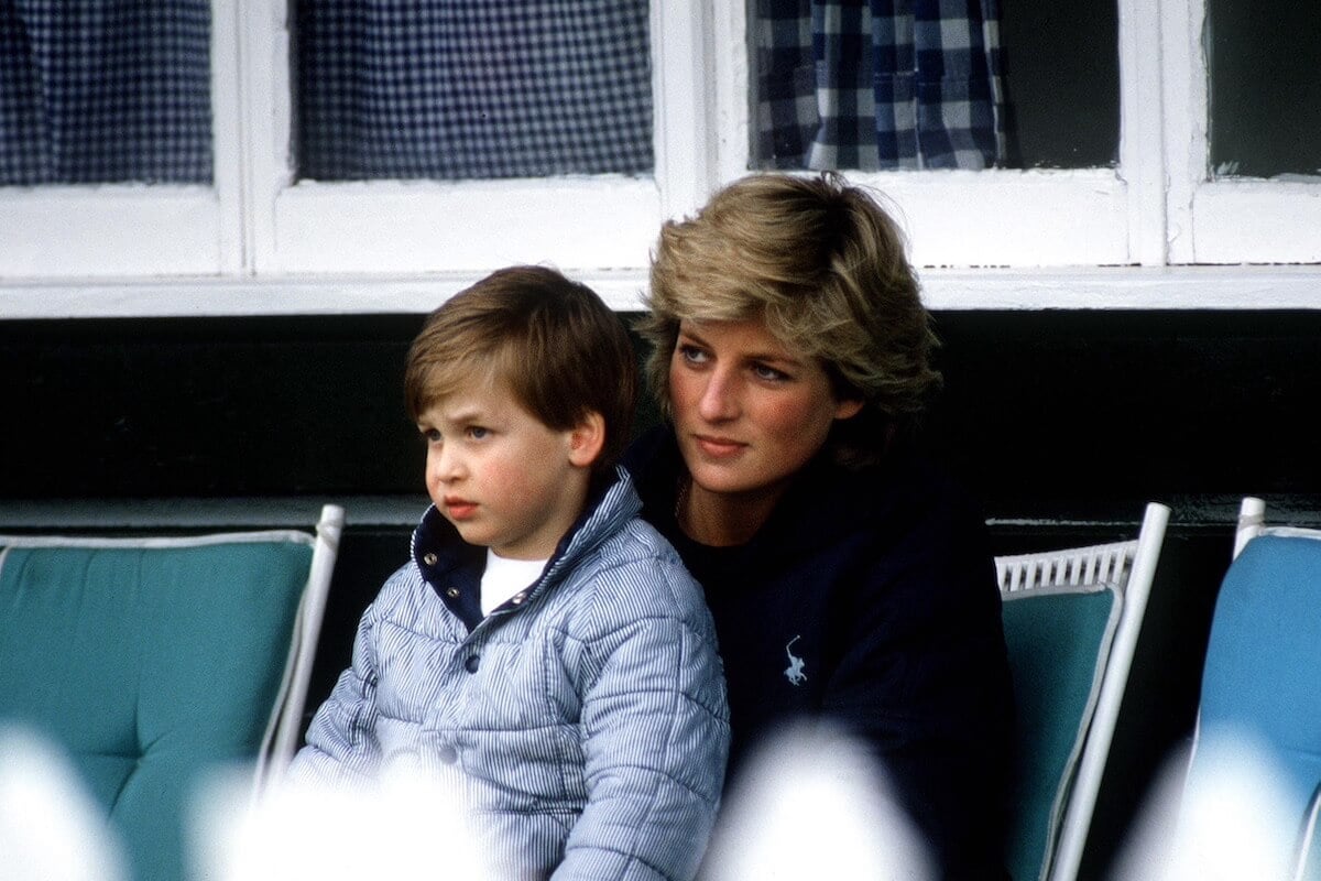 Princess Diana, one of the women to shape Prince William into who he is today, according to an expert, sits with Prince William