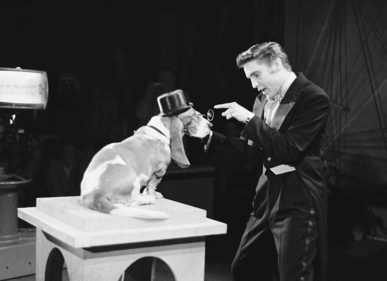 A black and white picture of Elvis pointing at a dog wearing a top hat and sitting on a box.