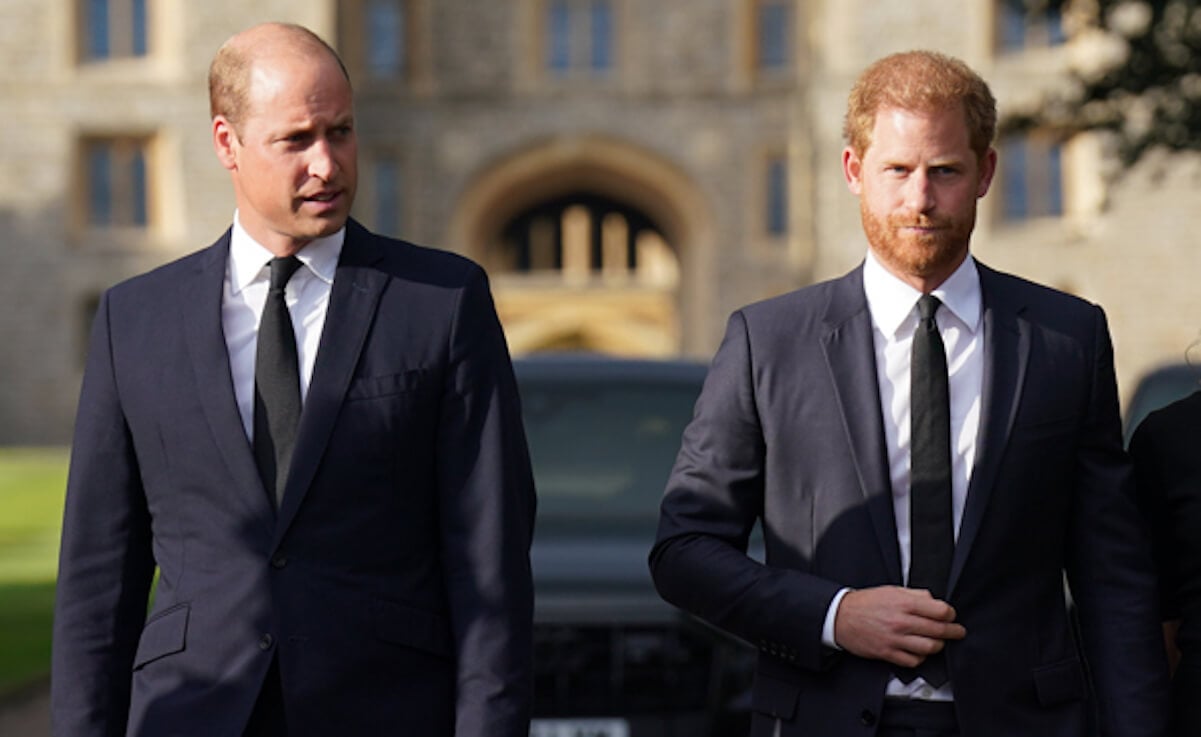 Prince William and Prince Harry