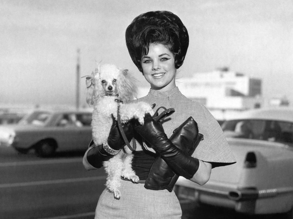 A black and white picture of Priscilla Presley wearing long gloves and holding a dog.