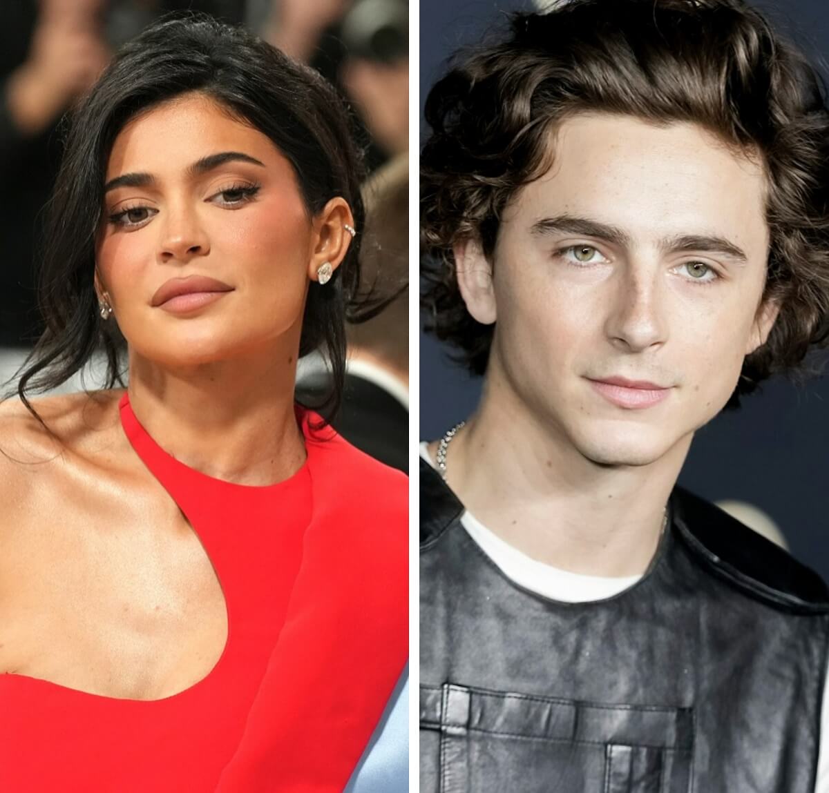 (L): Kylie Jenner at 2023 Met Gala, (R): Timothee Chalamet at the film premiere of 'Dune Part Two'