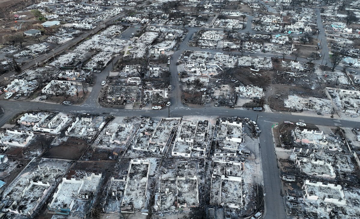 Aerial view of burned out homes and cars in Lahaina