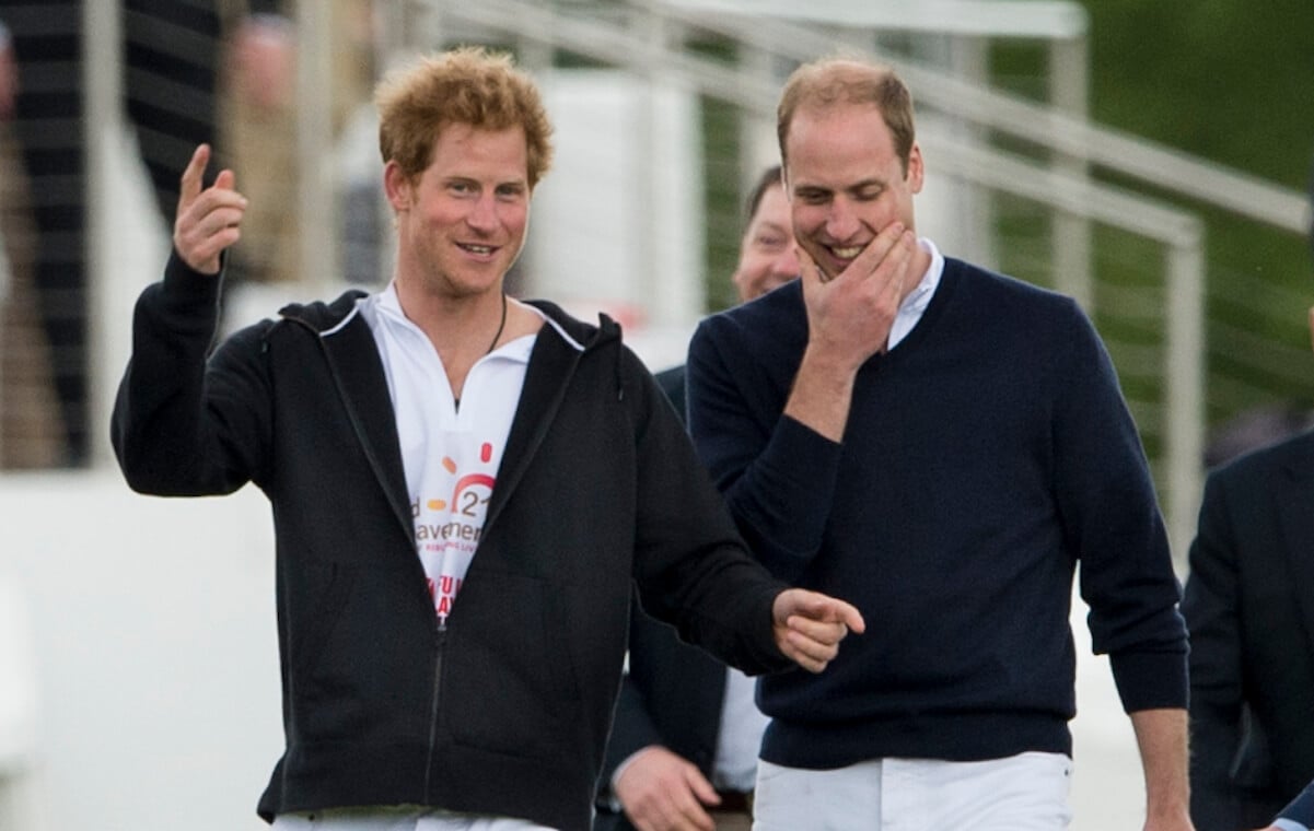 Prince Harry and Prince William share a laugh in 2015