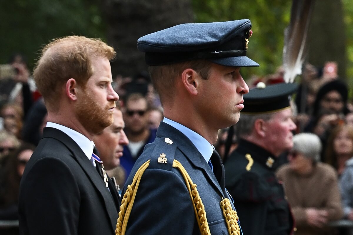 Prince Harry and Prince William follow the coffin of Queen Elizabeth II, as it travels on the State Gun Carriage of the Royal Navy