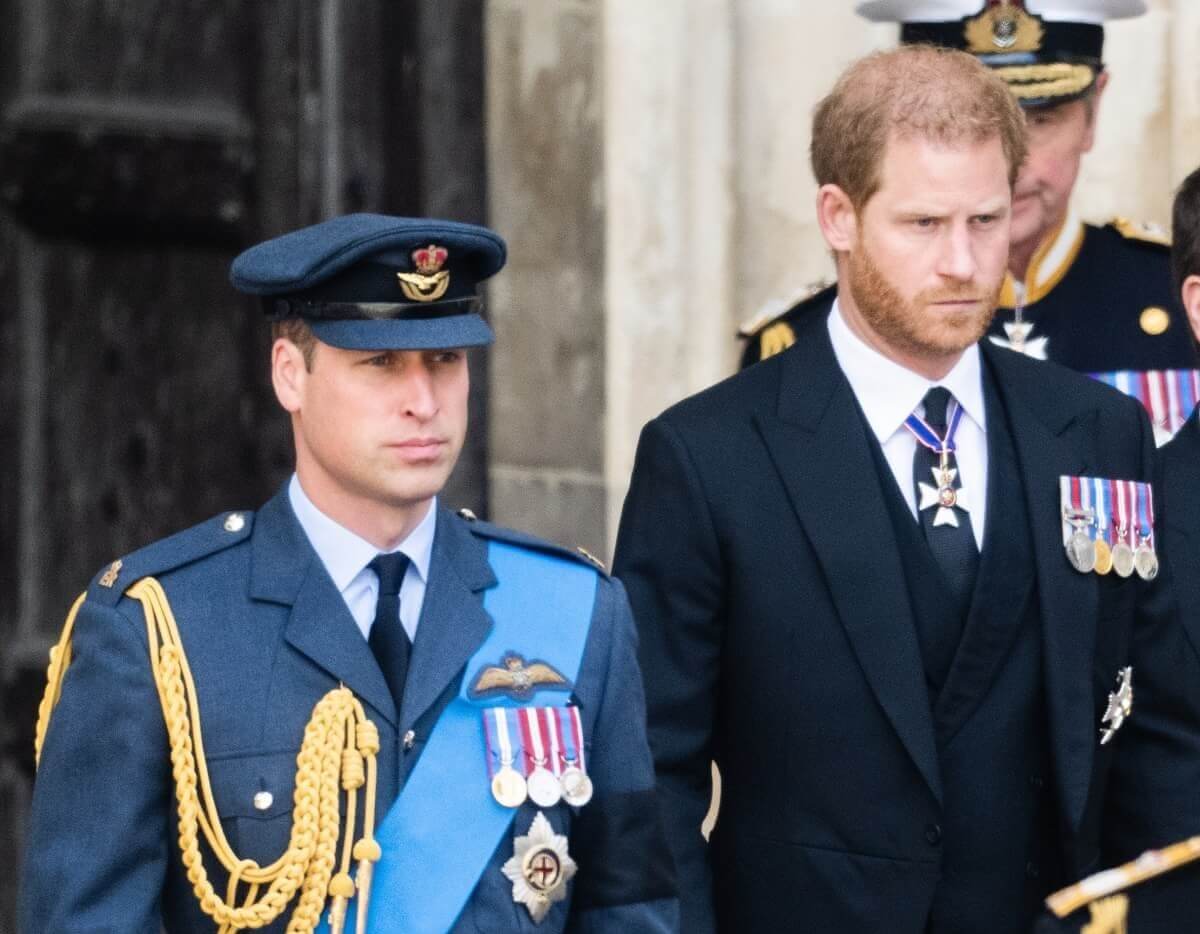 Prince Harry, who a body language expert says made one gesture to Prince William, during Queen Elizabeth II's funeral