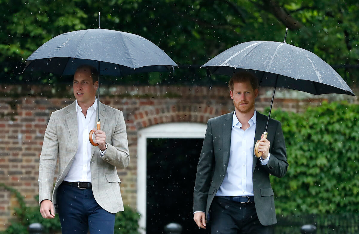 Prince William and Prince Harry holding umbrellas