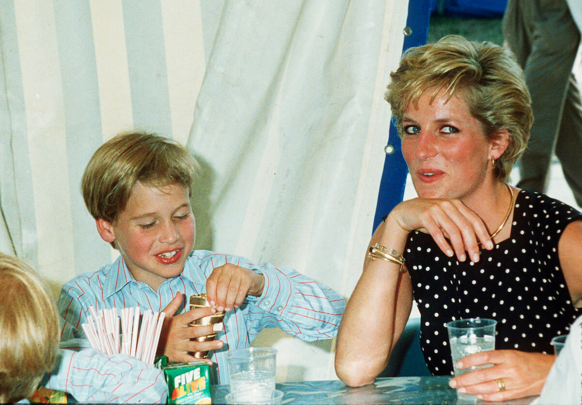 Princess Diana and Prince William