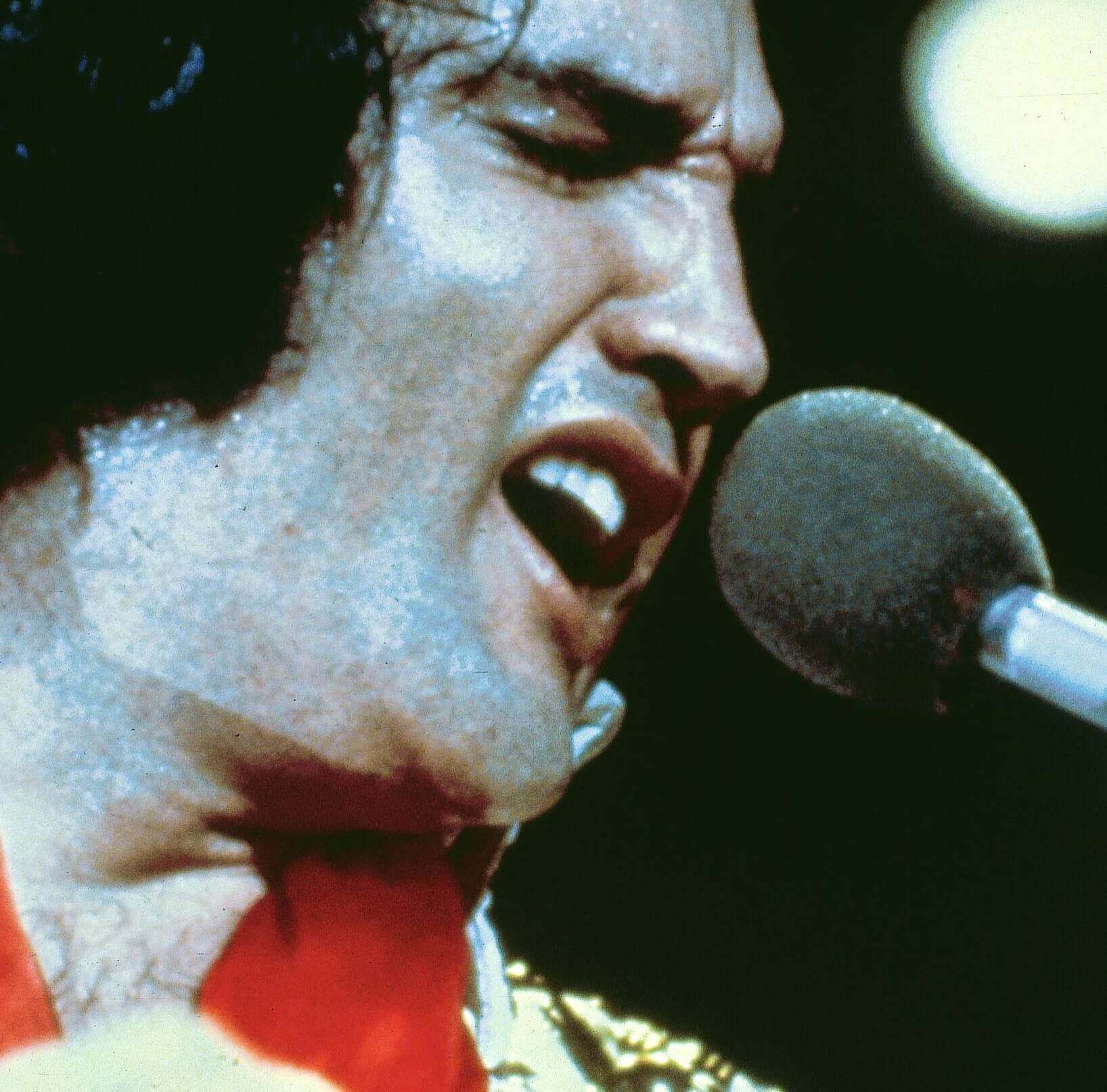 "Burning Love" singer Elvis Presley holding a microphone