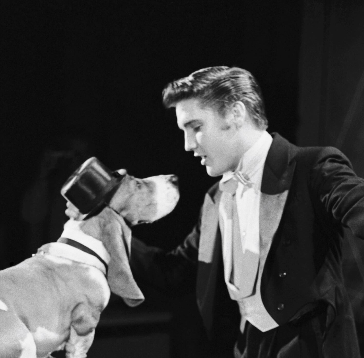 Elvis Presley singing to a hound dog