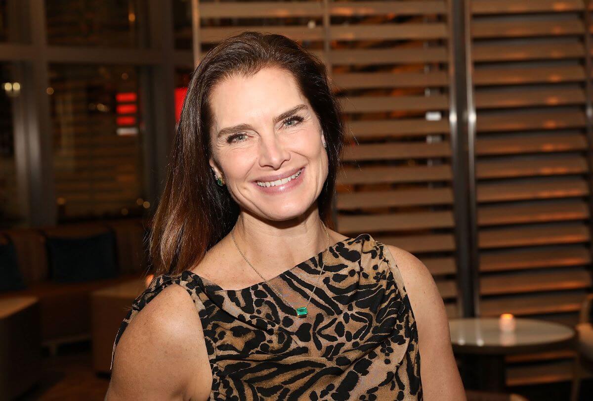 Brooke Shields poses in front of a window with blinds.