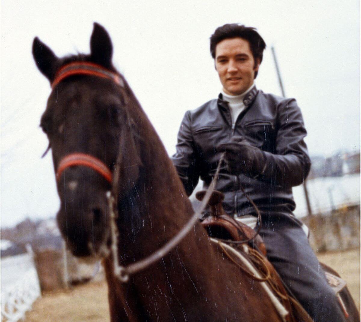Elvis Presley rides a horse outside. He wears a leather jacket and gloves.