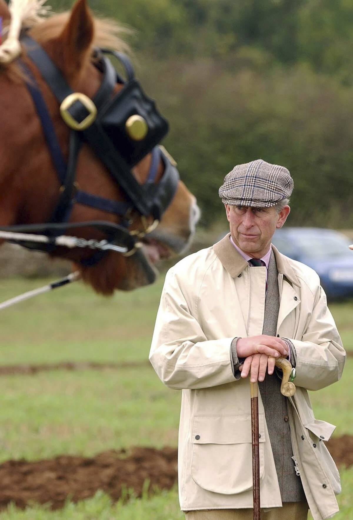 King Charles wearing casual clothes for a hedgelaying competition at the Duchy of Cornwall farm