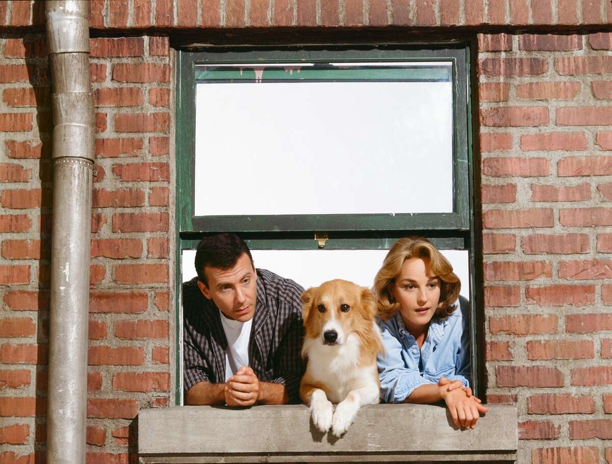 Paul, Murray and Jamie Buchman hang out of their apartment window in a promotional photo for 'Mad About You;' the series had several impressive guest stars