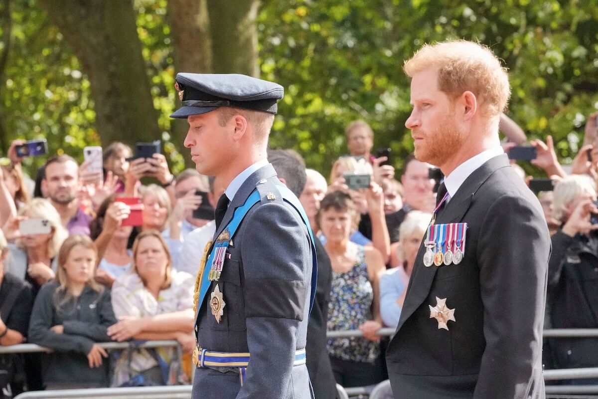Prince Harry, who outranked heir Prince William in 2006, walk together