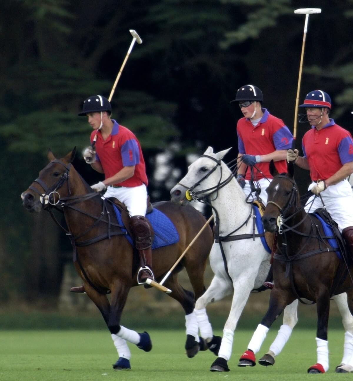 Then-Prince Charles with Prince William and Prince Harry playing polo together in Gloucestershire