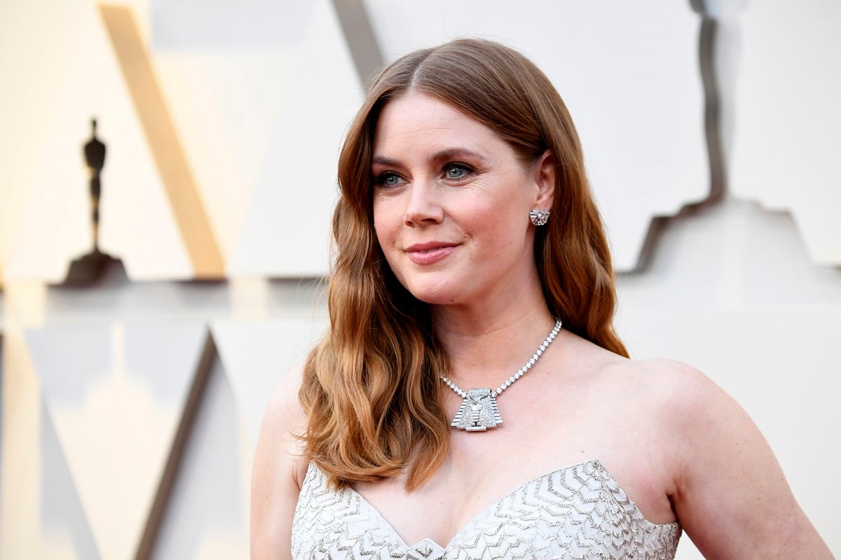 Amy Adams posing in a silver dress at the 91st Academy Awards.