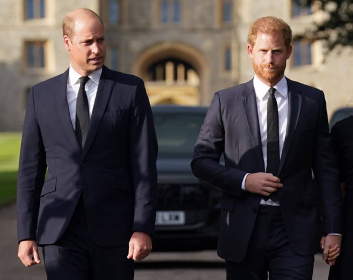 Prince Harry Had a Damaging 2-Word Response for Prince William When He Wanted a Peace Meeting