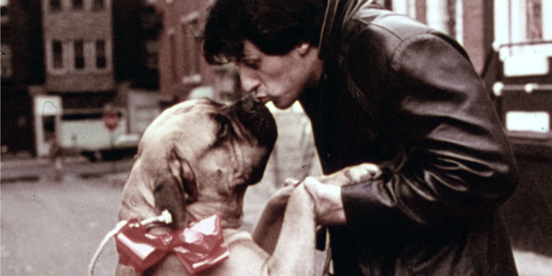Sylvester Stallone and his real-life dog Butkus on the set of the feature film 'Rocky.'
