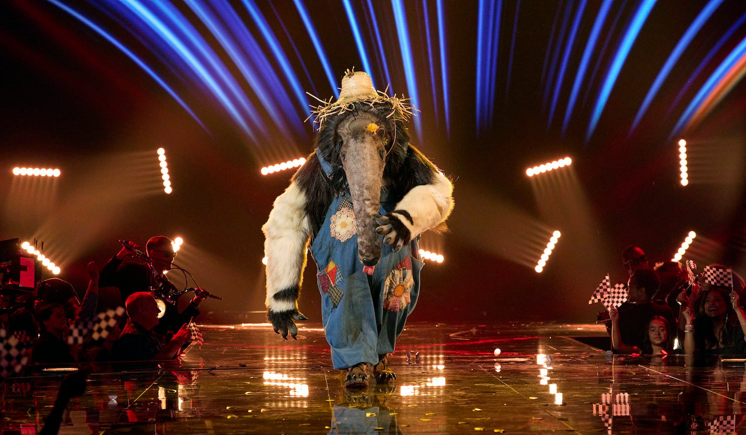 Anteater in 'The Masked Singer' Season 10 Soundtrack To My Life Night