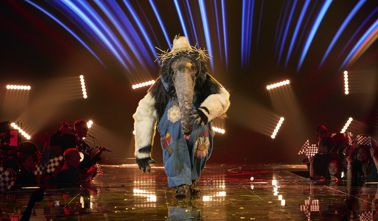 Anteater in 'The Masked Singer' Season 10 Soundtrack To My Life Night