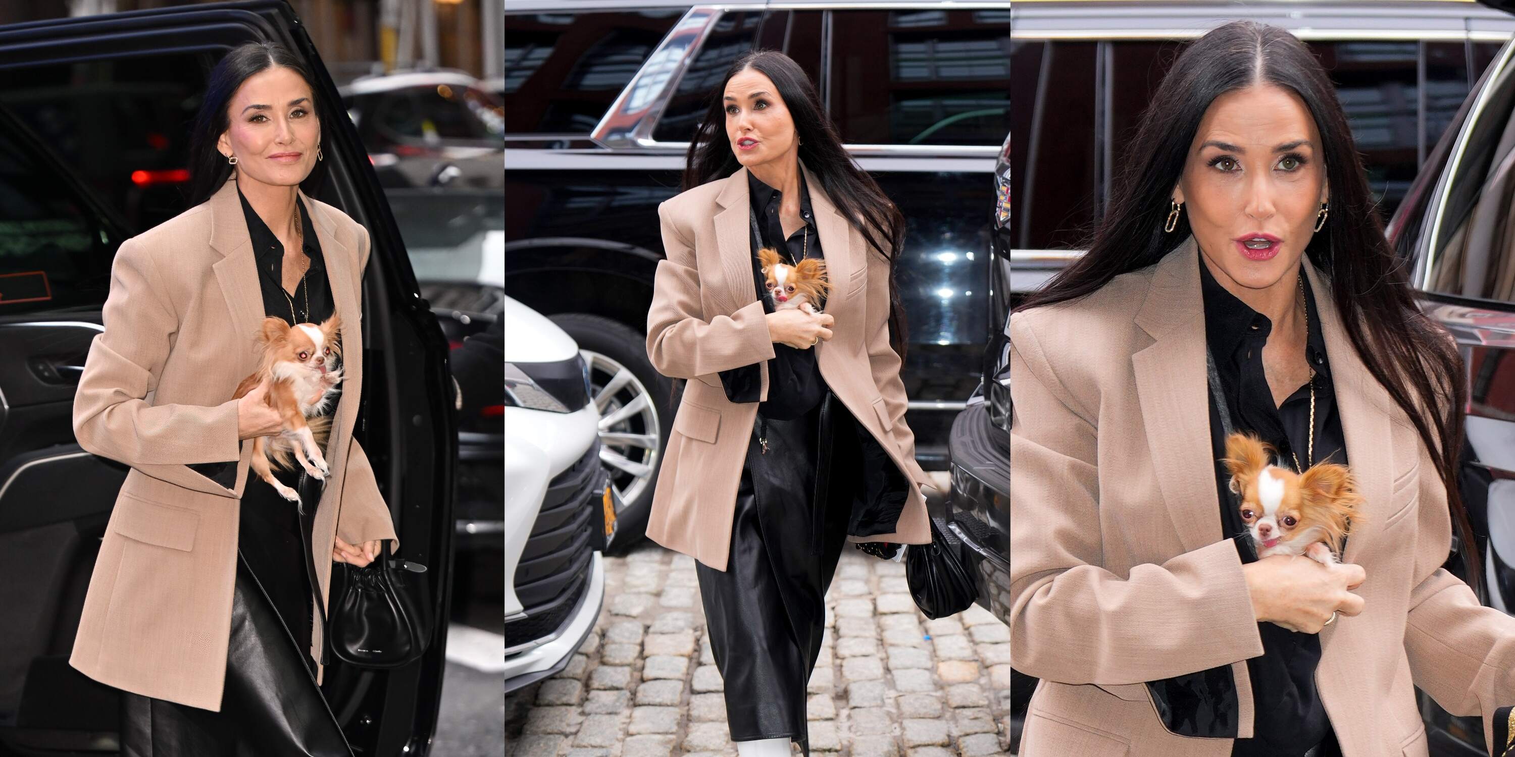 Actor Demi Moore walks with her chihuahua across a street in NYC while wearing a tan blazer and white boots