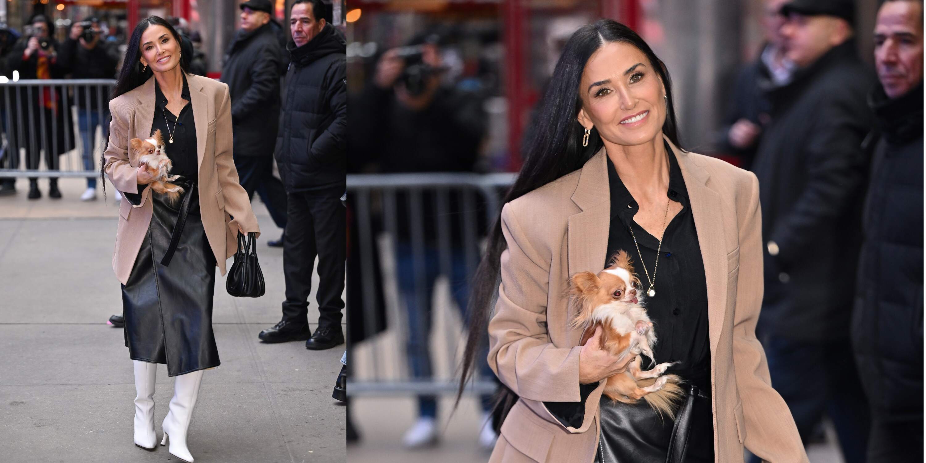 Actor Demi Moore walks with her chihuahua across a street in NYC while wearing a tan blazer and white boots