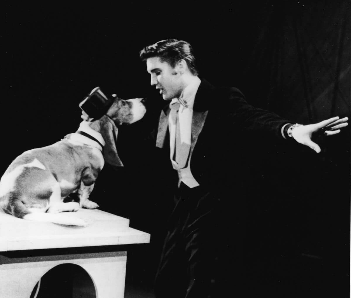 A black and white picture of Elvis singing to a basset hound wearing a top hat.