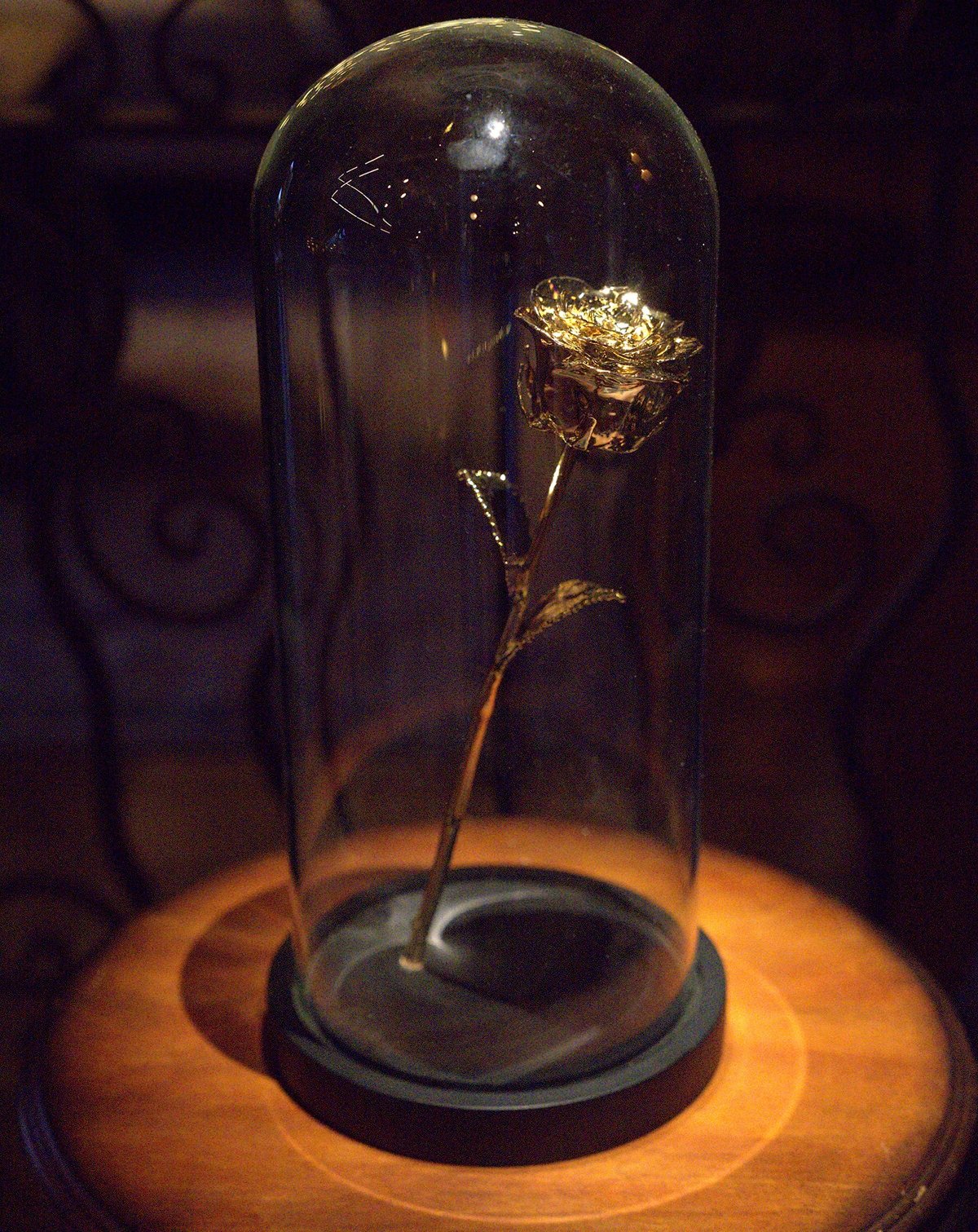 A golden rose in a glass case served as a promotional photo for 'The Golden Bachelor'