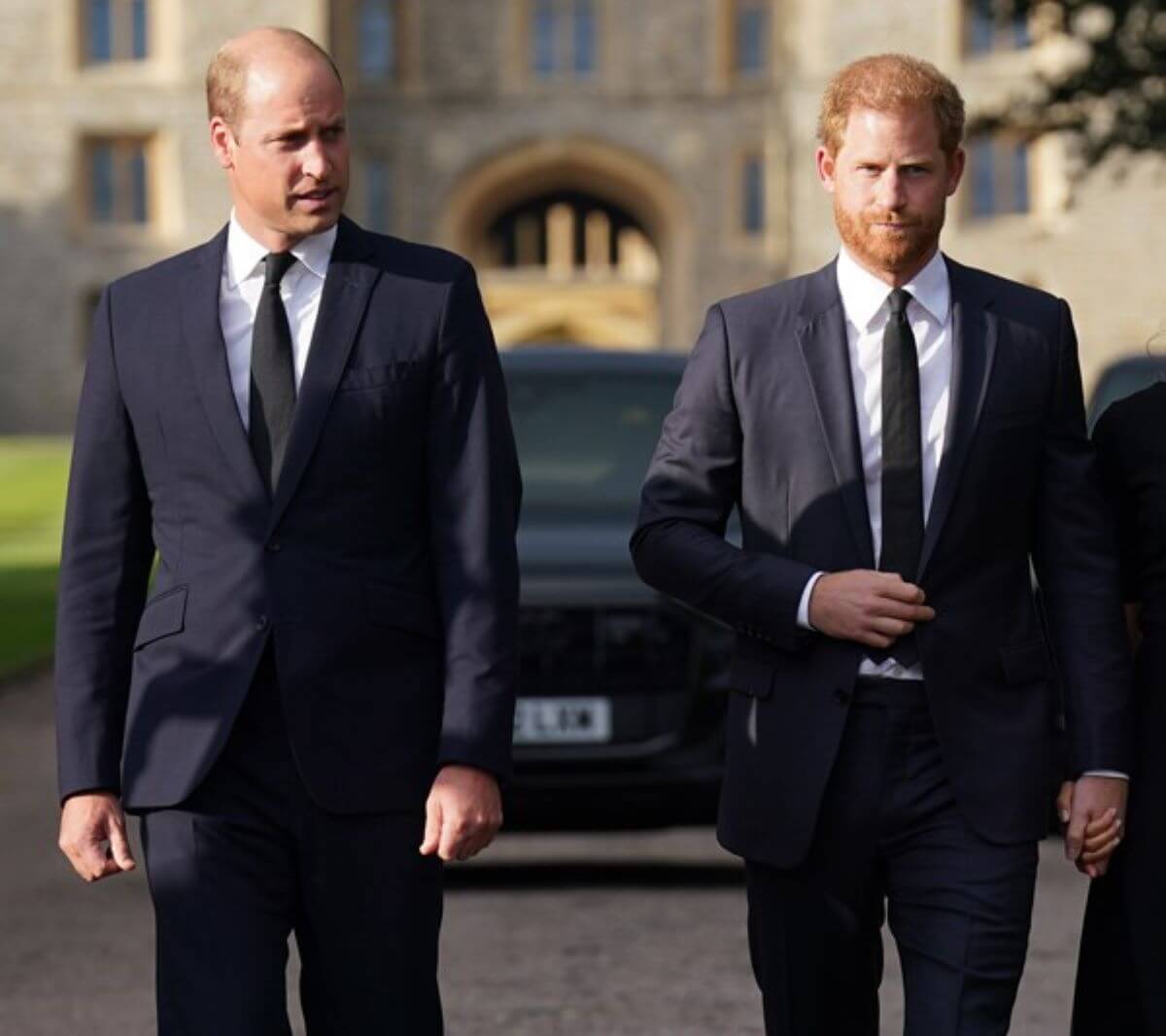 Prince William and Prince Harry walking next to each other to meet members of the public on the long Walk at Windsor Castle