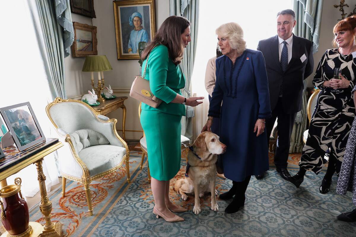 Camilla Parker Bowles speaks to a woman and her labrador retriever service dog at the celebration of The Poppy Factory Centenary