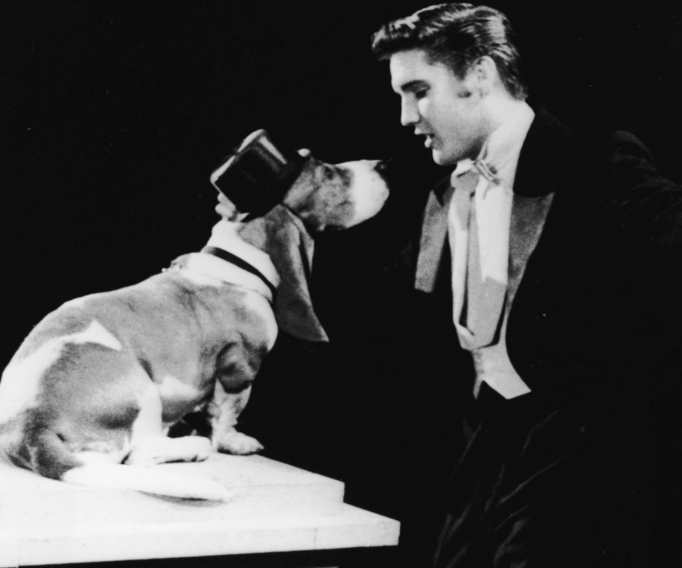 Elvis Presley performing with a hound dog
