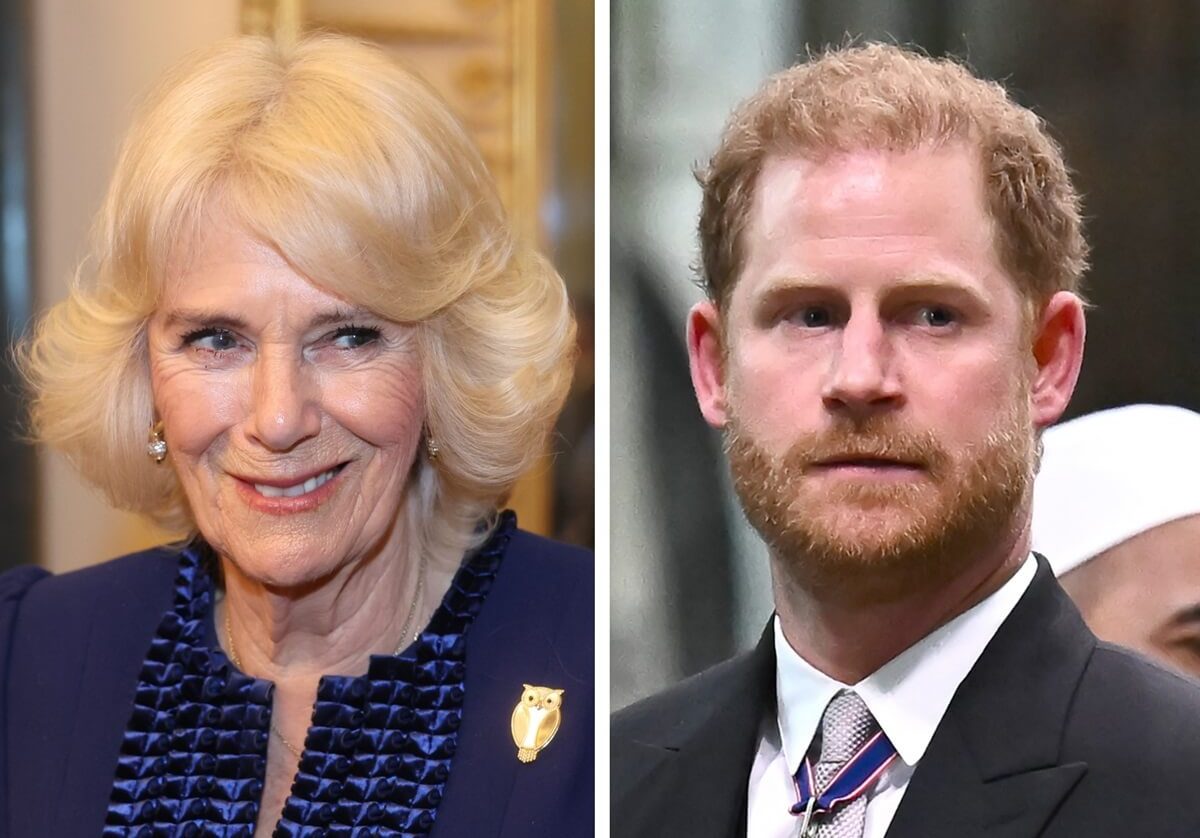 (L) Queen Camilla smiles during reception at Buckingham Palace, (R) Prince Harry looks on during King Charles and Queen Camilla's coronation