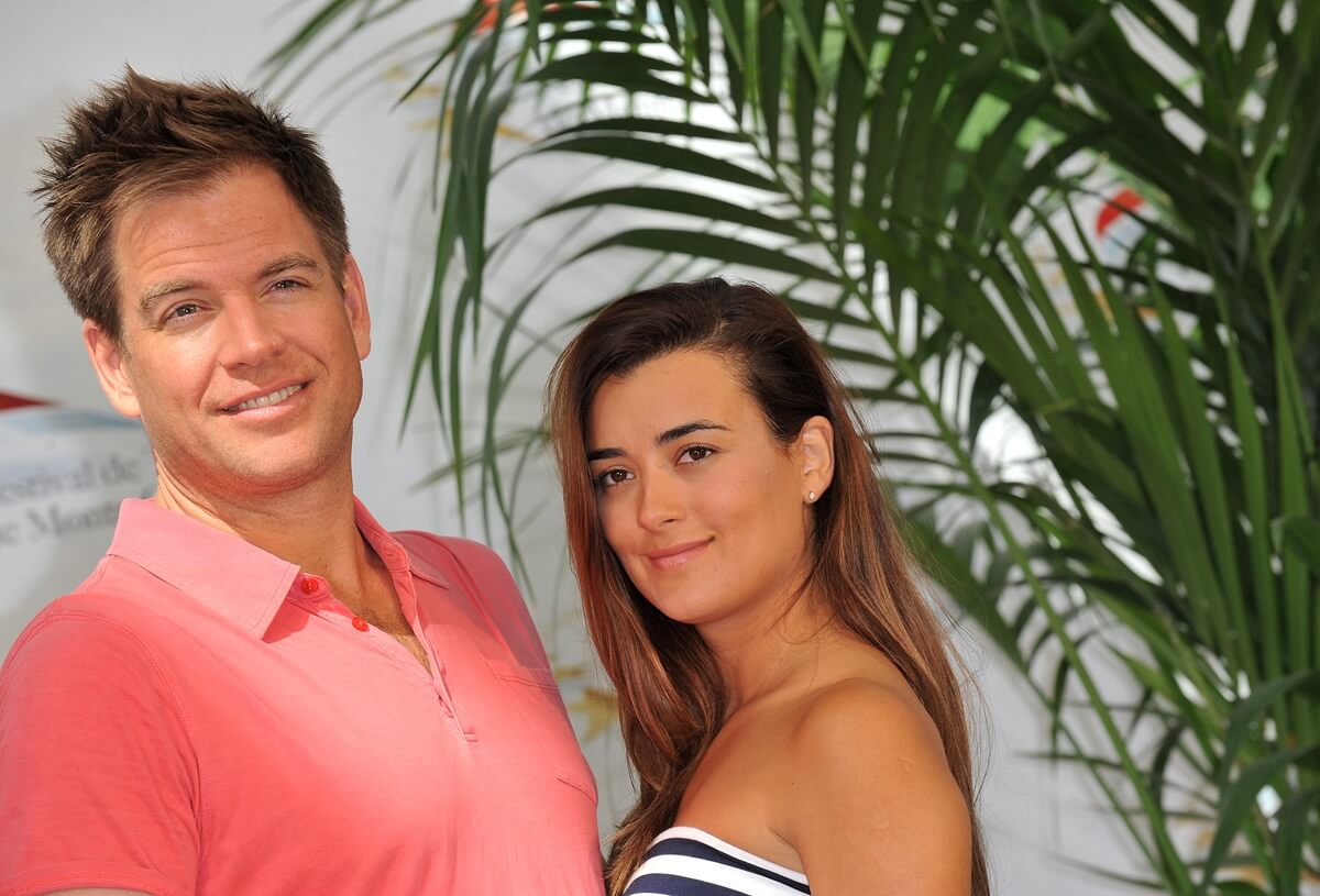 Michael Weatherly smiling beside Cote De Pablo in a photocall for 'NCIS'.