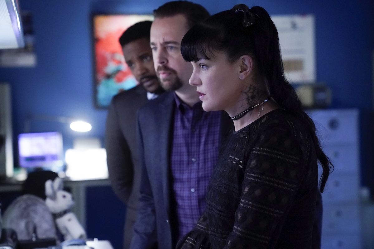 Pauley Perrette and Sean Murray looking at a computer screen in 'NCIS'
