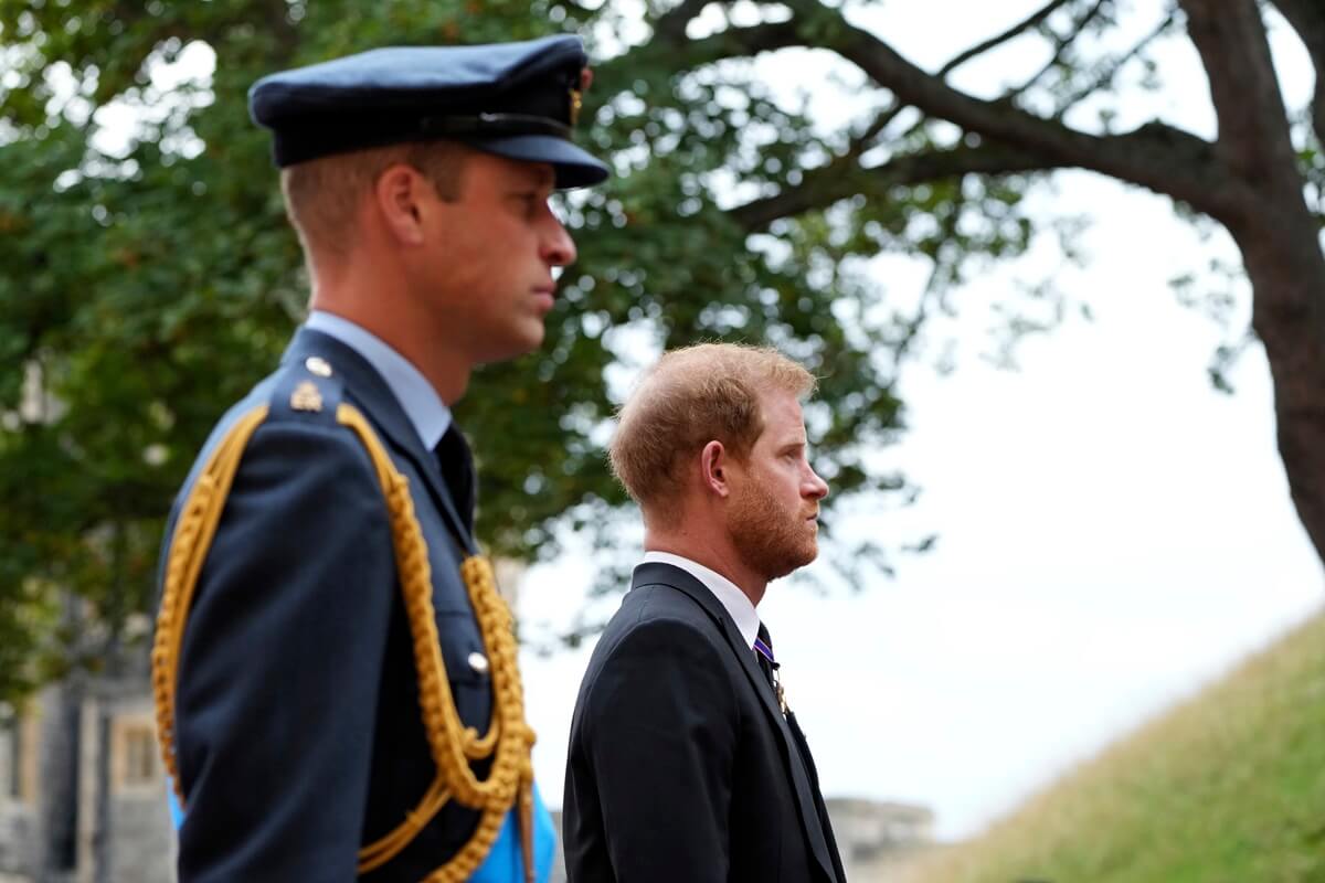 Prince Harry and Prince William follow the hearse with the coffin of Queen Elizabeth II moving towards St. George's Chapel