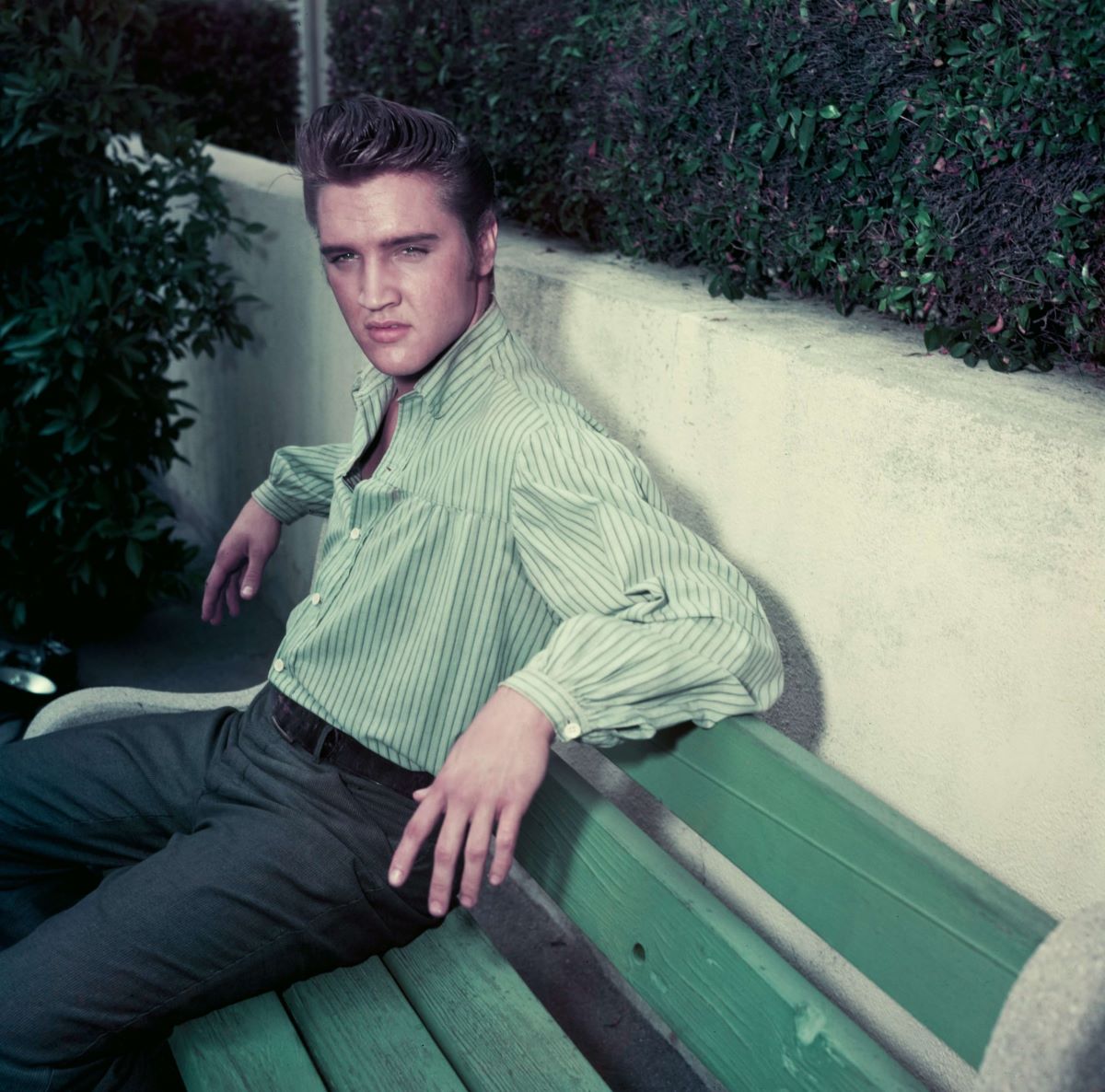 Elvis wears a green shirt and sits on a green bench.