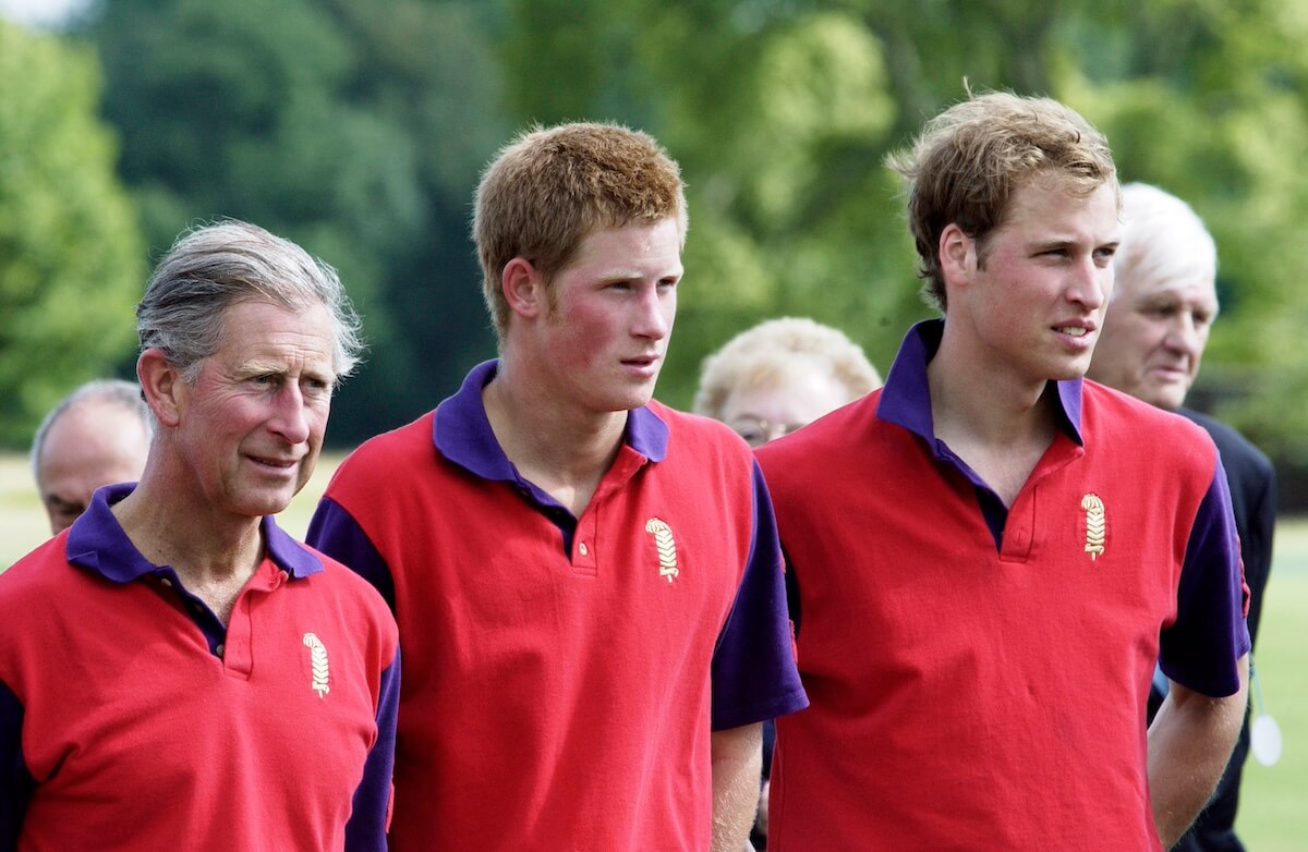 King Charles with Prince Harry and Prince William